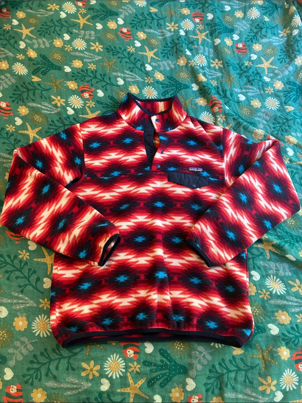 Patagonia Synchilla Fleece
